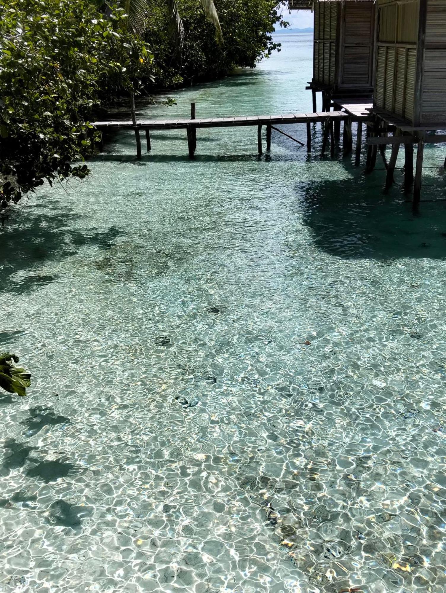 Meos Ambower Homestay Raja Ampat Fam Exterior photo